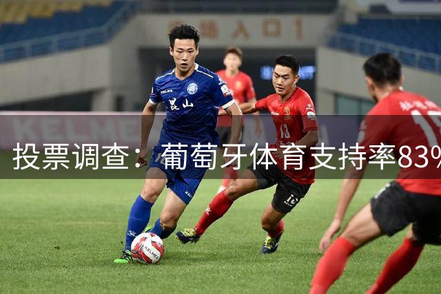 投票调查：葡萄牙体育支持率83% 罗森博格得票多