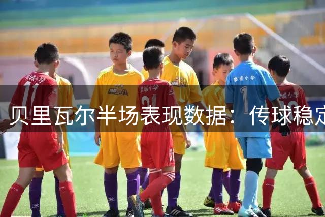 贝里瓦尔半场表现数据：传球稳定但致命失误致丢球